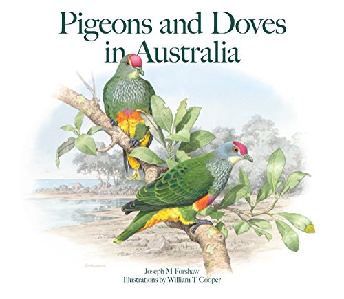 Pigeons and Doves in Australia