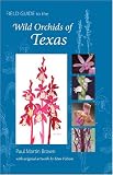 Field Guide to the Wild Orchids of Texas