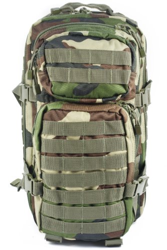 Camouflage Militaire Armée Sac à dos US assault pack 30L MOLLE Centre Europe (CE)
