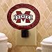 Mississippi St - Art Glass Nightlight