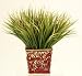 Grass In Square Ceramic Planter