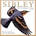 Sibley: The Birder's Year 2008 Wall Calendar