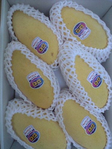 タイ産タイマンゴー大玉6～7個入り