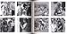 Surf Contest: Photographs by Ron Church (T. ADLER BOOKS)