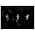 Vignette de Black Rebel Motorcycle Club