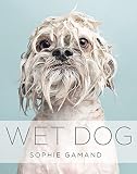 Wet Dog