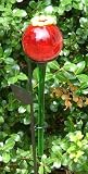 Red Poppy Glass Hummingbird, Butterfly and Oriole Feeder with Wrought Iron Stake