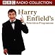 Harry Enfield's Television Programme
