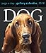 Dog 2014 Gallery Calendar