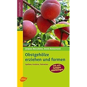 Obstgehölze erziehen und formen: Spaliere, Kordons, Palmetten (Katalogbuch)