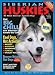 Book Siberian Huskies