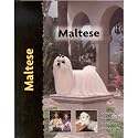 Maltese Dog Breed Book