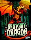 The anatomy of a dragon