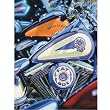 Ravensburger Harley - Davison 500 Piece - Look but Don't Touch
