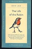 The Life of The Robin