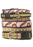 Lush Life Collection Dog Collar, Paisley, Large (15-21, 1)