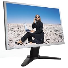 Fujitsu  Scaleoview W19-1 48,3 cm (19 Zoll) TFT Monitor Wide Screen (Kontrast 500:1, 8 Ms Reaktionszeit)