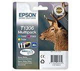 Epson C13T13064010