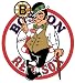 Red Sox, Celtics, Patriots, Bruins Unique All in One Decal FREE SHIPPING