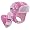 Pink Phlox Rose Print