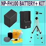 NPFH100 Compatible Lithium Ion Battery + Accessory Kit