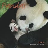 Pandas 2009 Wall Calendar