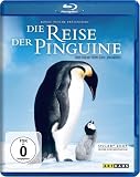 Die Reise der Pinguine [Blu-ray]