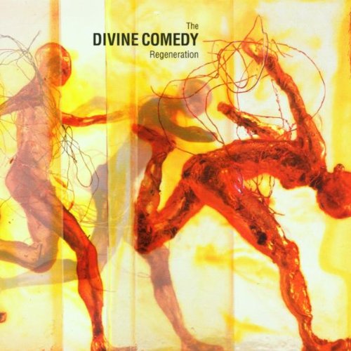The Divine Comedy - Perfect Lovesong Lyrics - Zortam Music