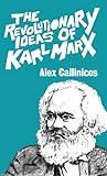 The revolutionary ideas of Karl Marx