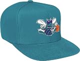 Charlotte Hornets Mitchell & Ness Vintage Basic Logo Teal Snap Back Hat