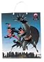 Batman and Robin Trick-or-Treat Bag