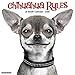 2016 Chihuahua Rules Wall Calendar