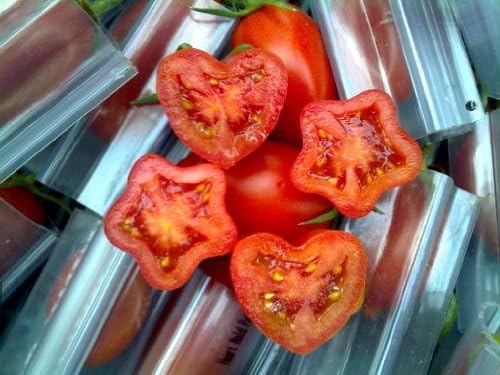 Set of 3 Small Heart Shaped Molds for Growing Vegetables and Fruits, Veggie Mold