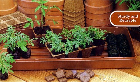 5 Burpee All-Purpose Growing Trays - Sturdy & Reusable