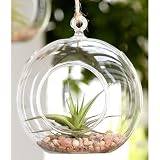 Urban Terrarium Ga