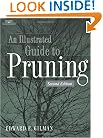 Illustrated Guide to Pruning