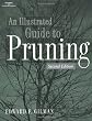Illustrated Guide to Pruning