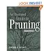 Illustrated Guide to Pruning