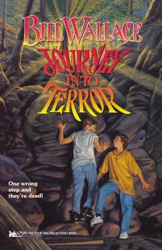 Journey into Terror (Paperback)