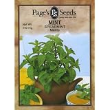 Mint, Spearmint