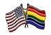 Rainbow/USA Flags Lapel Pin