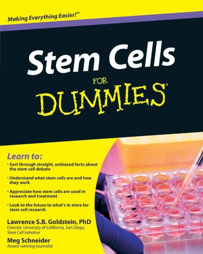 stem cell research