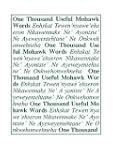 One Thousand Useful Mohawk Words
