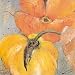 Basics of Nature I