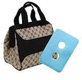 IMAGE OF Fit & Fresh Downtown Insulated Designer Lunch Bag, Cocoa, 9x6x8 Inches