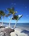 Beach - 36