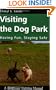 Visiting the Dog Park: Having Fun, Staying Safe