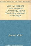 Crime, justice and underdevelopment