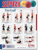 SPRI WC-XB 18 Inch x 24 Inch Xerball Medicine Ball Exercise Wall Chart