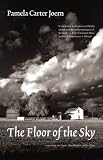 The Floor of the Sky (Flyover Fiction)
